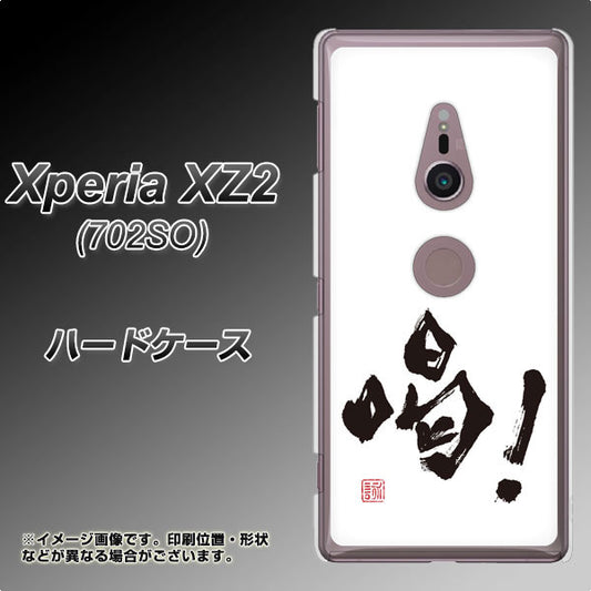 SoftBank エクスペリア XZ2 702SO 高画質仕上げ 背面印刷 ハードケース【OE845 喝！】