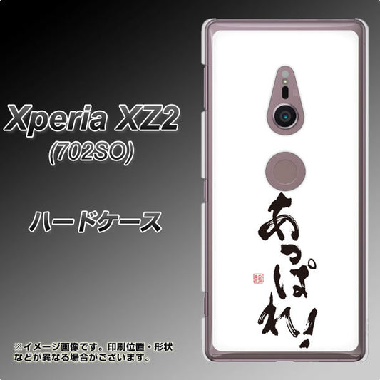SoftBank エクスペリア XZ2 702SO 高画質仕上げ 背面印刷 ハードケース【OE846 あっぱれ！】