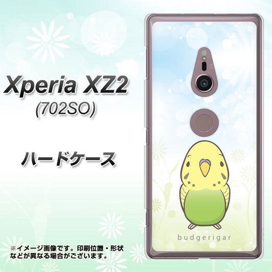 SoftBank エクスペリア XZ2 702SO 高画質仕上げ 背面印刷 ハードケース【SC838 セキセイインコ グリーン】