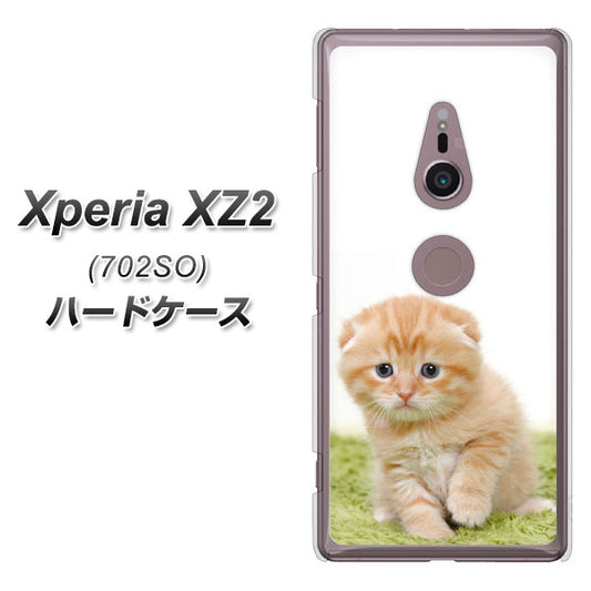 SoftBank エクスペリア XZ2 702SO 高画質仕上げ 背面印刷 ハードケース【VA802 ネコこっそり】