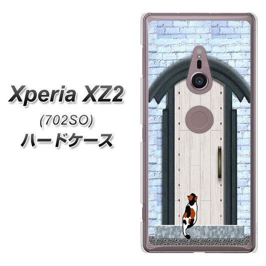SoftBank エクスペリア XZ2 702SO 高画質仕上げ 背面印刷 ハードケース【YA951 石ドア01】