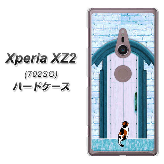 SoftBank エクスペリア XZ2 702SO 高画質仕上げ 背面印刷 ハードケース【YA953 石ドア03 素材クリア】