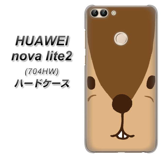 SoftBank HUAWEI nova lite 2 704HW 高画質仕上げ 背面印刷 ハードケース【349 りす】