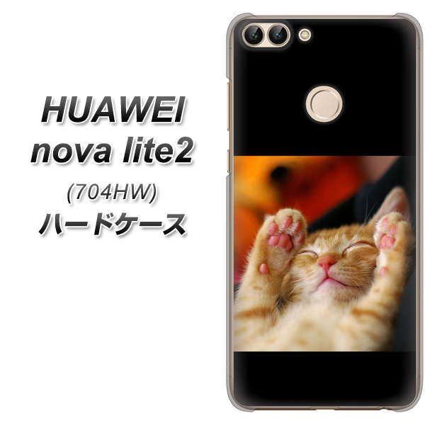 SoftBank HUAWEI nova lite 2 704HW 高画質仕上げ 背面印刷 ハードケース【VA804 爆睡するネコ】