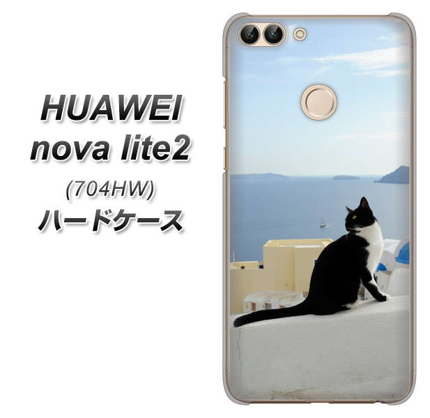 SoftBank HUAWEI nova lite 2 704HW 高画質仕上げ 背面印刷 ハードケース【VA805 ネコと地中海】