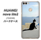 SoftBank HUAWEI nova lite 2 704HW 高画質仕上げ 背面印刷 ハードケース【VA805 ネコと地中海】