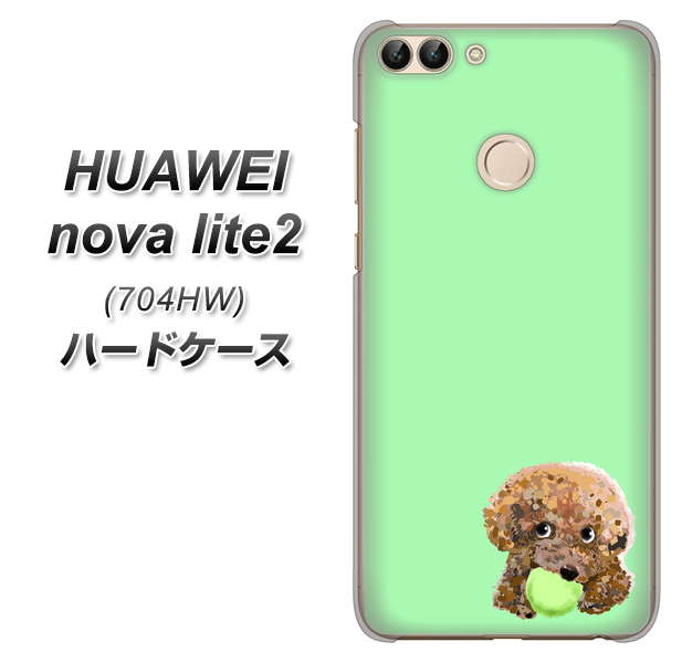 SoftBank HUAWEI nova lite 2 704HW 高画質仕上げ 背面印刷 ハードケース【YJ055 トイプードル＆ボール（グリーン）】