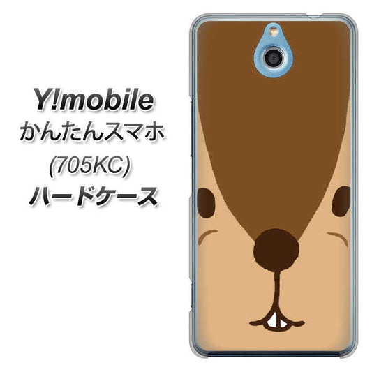 Y!mobile かんたんスマホ 705KC 高画質仕上げ 背面印刷 ハードケース【349 りす】