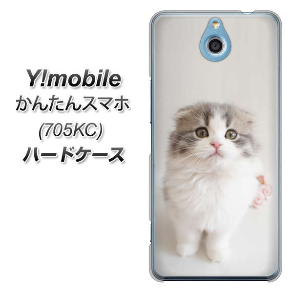 Y!mobile かんたんスマホ 705KC 高画質仕上げ 背面印刷 ハードケース【VA803 まっていますネコ】