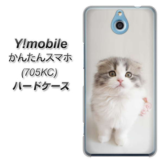 Y!mobile かんたんスマホ 705KC 高画質仕上げ 背面印刷 ハードケース【VA803 まっていますネコ】