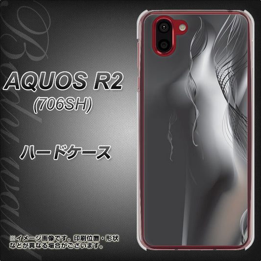 softbank アクオス R2 706SH 高画質仕上げ 背面印刷 ハードケース【566 ボディウォール】