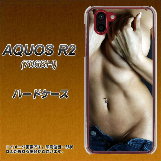 softbank アクオス R2 706SH 高画質仕上げ 背面印刷 ハードケース【602 ボディライン】