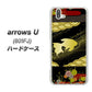 softbank arrows U 801FJ 高画質仕上げ 背面印刷 ハードケース【174 天の川の金魚】
