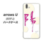 softbank arrows U 801FJ 高画質仕上げ 背面印刷 ハードケース【OE833 陽】