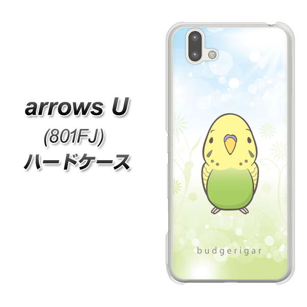 softbank arrows U 801FJ 高画質仕上げ 背面印刷 ハードケース【SC838 セキセイインコ グリーン】