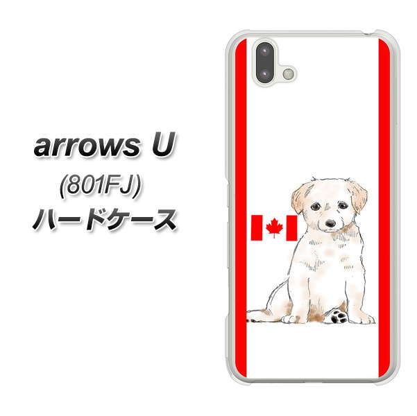 softbank arrows U 801FJ 高画質仕上げ 背面印刷 ハードケース【YD824 ラブラドールレトリバー05】