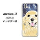 softbank arrows U 801FJ 高画質仕上げ 背面印刷 ハードケース【YD828 ゴールデンレトリバー04】
