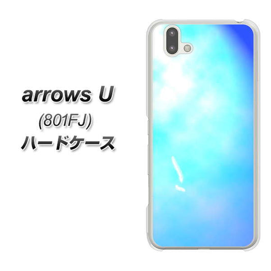 softbank arrows U 801FJ 高画質仕上げ 背面印刷 ハードケース【YJ291 デザイン　光】