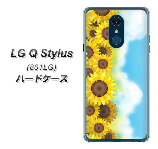 Y!mobile LG Q Stylus 801LG 高画質仕上げ 背面印刷 ハードケース【148 ひまわり畑】