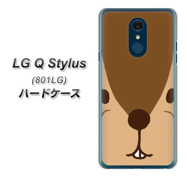 Y!mobile LG Q Stylus 801LG 高画質仕上げ 背面印刷 ハードケース【349 りす】
