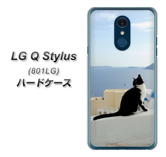 Y!mobile LG Q Stylus 801LG 高画質仕上げ 背面印刷 ハードケース【VA805 ネコと地中海】
