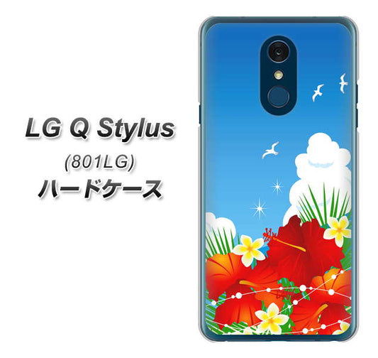 Y!mobile LG Q Stylus 801LG 高画質仕上げ 背面印刷 ハードケース【VA821 ハイビスカスと青空】