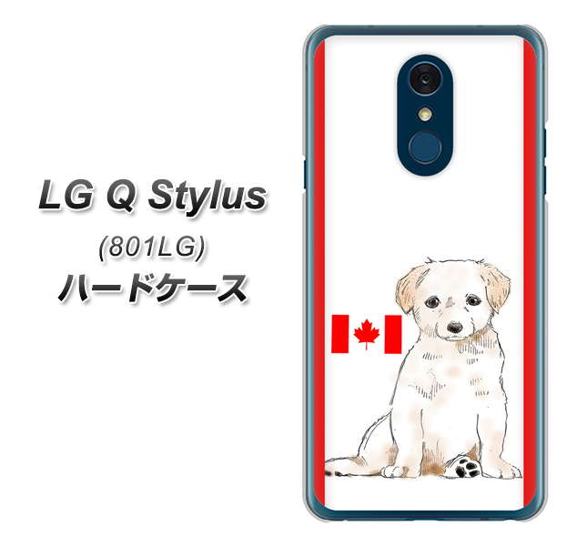 Y!mobile LG Q Stylus 801LG 高画質仕上げ 背面印刷 ハードケース【YD824 ラブラドールレトリバー05】