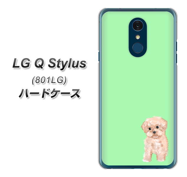 Y!mobile LG Q Stylus 801LG 高画質仕上げ 背面印刷 ハードケース【YJ063 トイプードルアプリコット（グリーン）】