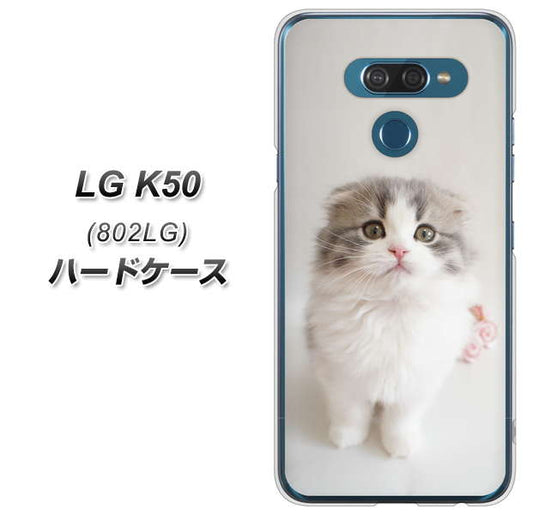 softbank LG K50 802LG 高画質仕上げ 背面印刷 ハードケース【VA803 まっていますネコ】