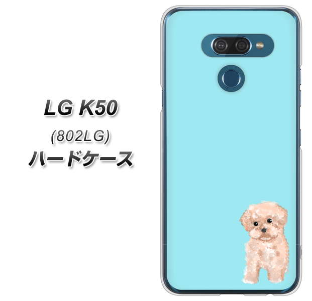 softbank LG K50 802LG 高画質仕上げ 背面印刷 ハードケース【YJ062 トイプードルアプリコット（ブルー）】