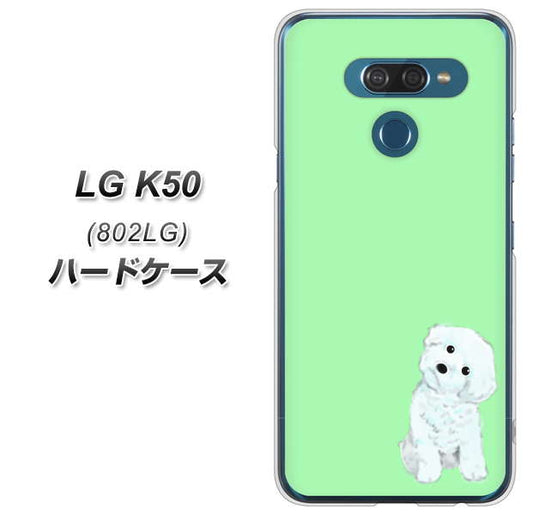 softbank LG K50 802LG 高画質仕上げ 背面印刷 ハードケース【YJ071 トイプードルホワイト（グリーン）】
