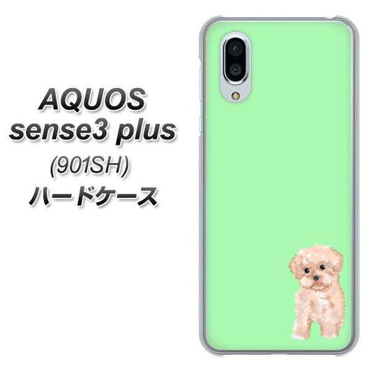 SoftBank アクオスセンス3 プラス 901SH 高画質仕上げ 背面印刷 ハードケース【YJ063 トイプードルアプリコット（グリーン）】