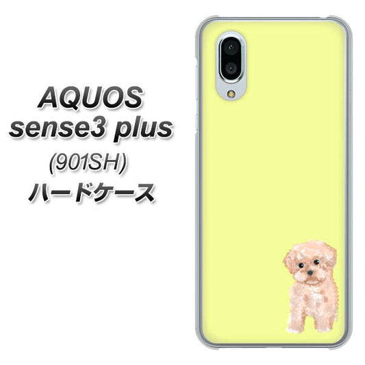 SoftBank アクオスセンス3 プラス 901SH 高画質仕上げ 背面印刷 ハードケース【YJ064 トイプードルアプリコット（イエロー）】