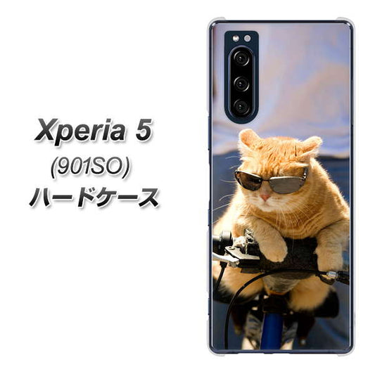 softbank エクスペリア5 901SO 高画質仕上げ 背面印刷 ハードケース【595 にゃんとサイクル】
