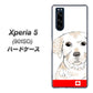 softbank エクスペリア5 901SO 高画質仕上げ 背面印刷 ハードケース【YD821 ラブラドールレトリバー02】