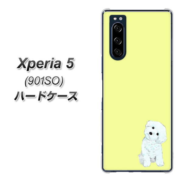 softbank エクスペリア5 901SO 高画質仕上げ 背面印刷 ハードケース【YJ072 トイプードルホワイト（イエロー）】