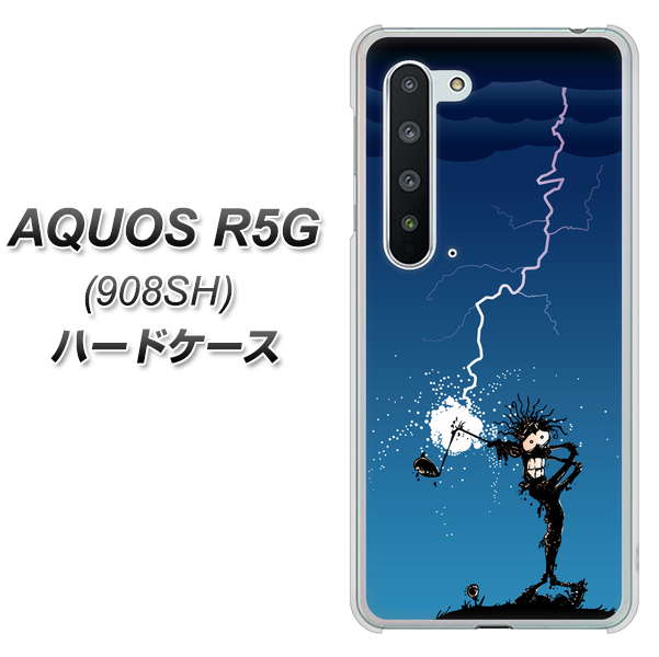 Softbank アクオス R5G 908SH 高画質仕上げ 背面印刷 ハードケース【417 ゴルファーの苦難】