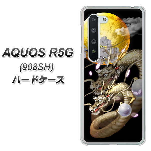 Softbank アクオス R5G 908SH 高画質仕上げ 背面印刷 ハードケース【1003 月と龍】