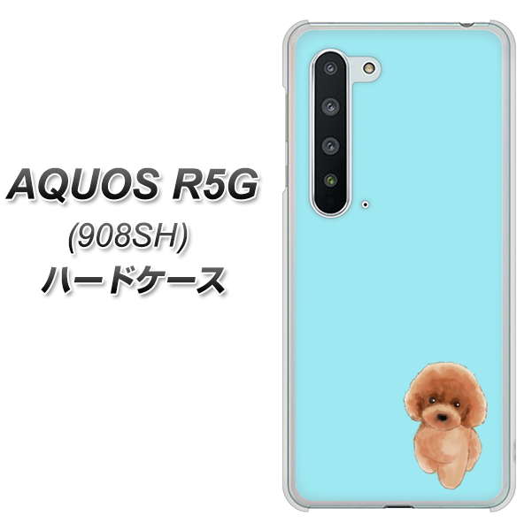 Softbank アクオス R5G 908SH 高画質仕上げ 背面印刷 ハードケース【YJ050 トイプードルレッド（ブルー）】