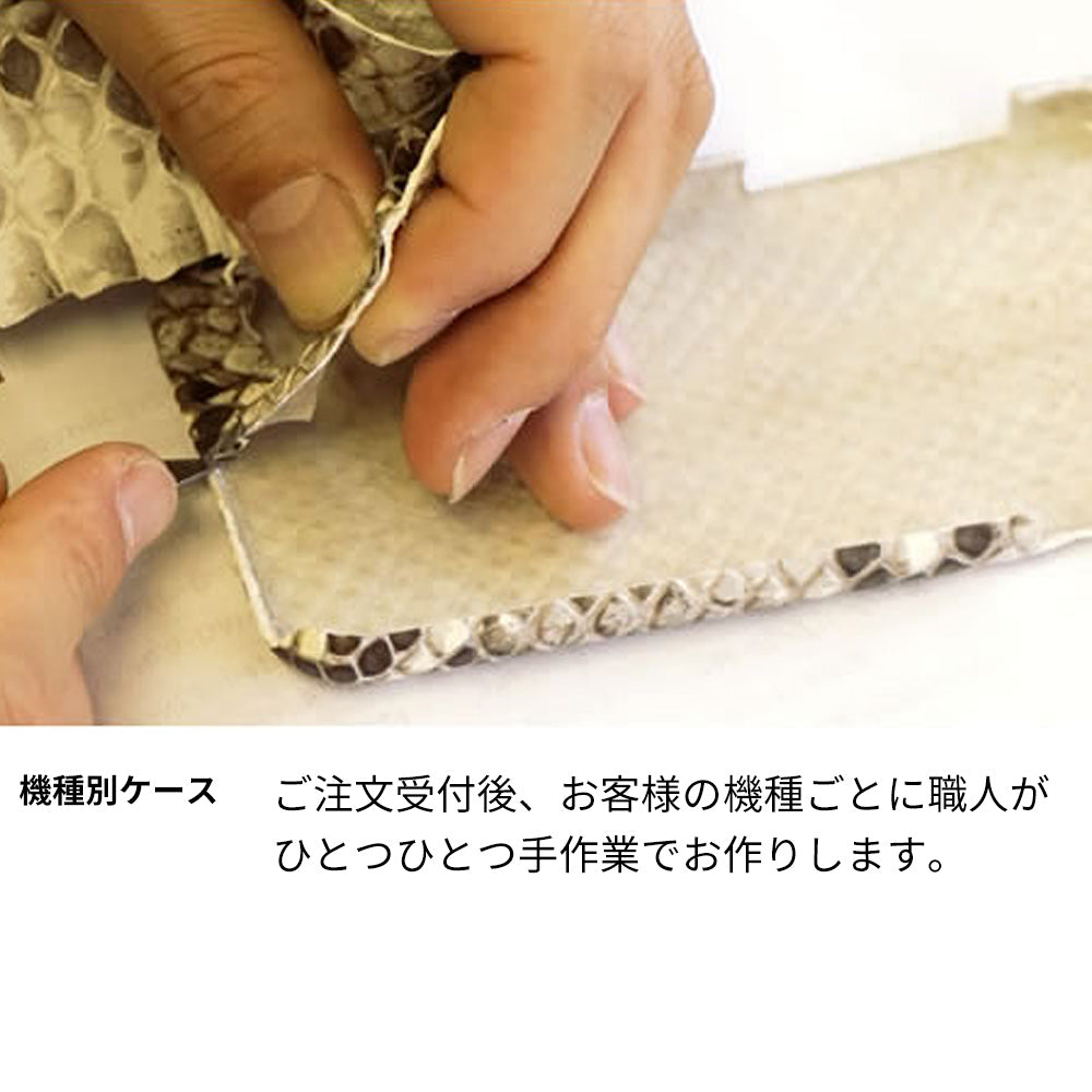 DIGNO SX2 KC-S302 ダイヤモンドパイソン本革張りハードケース