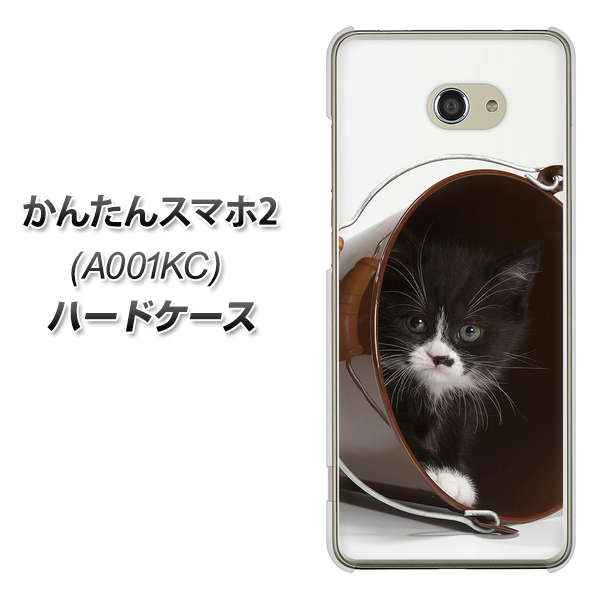 Y!mobile かんたんスマホ2 A001KC 高画質仕上げ 背面印刷 ハードケース【VA800 ネコとバケツ】