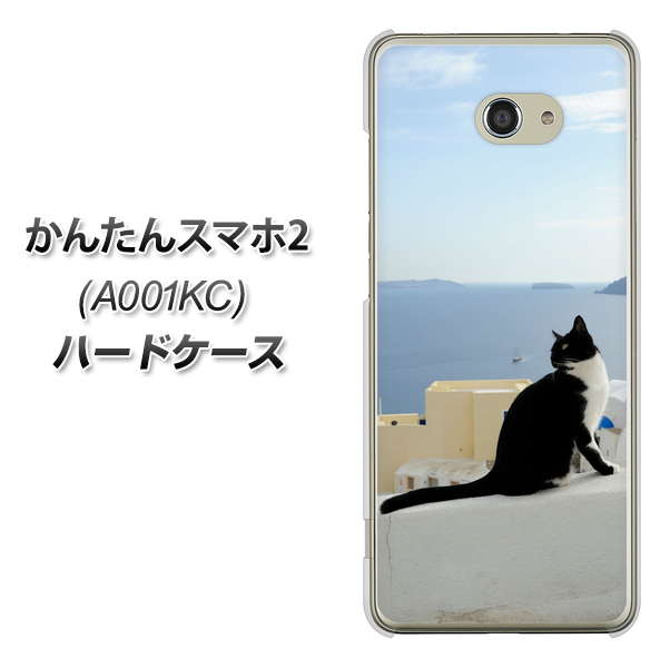 Y!mobile かんたんスマホ2 A001KC 高画質仕上げ 背面印刷 ハードケース【VA805 ネコと地中海】