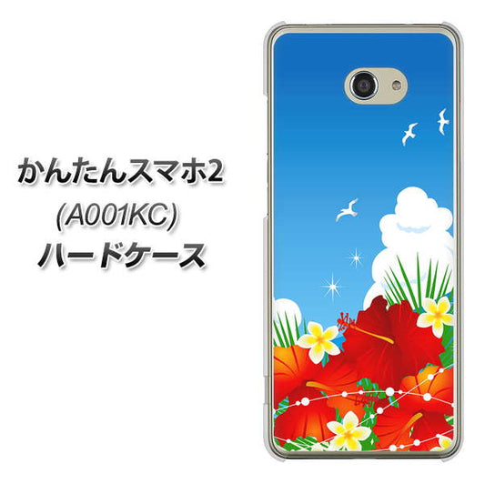 Y!mobile かんたんスマホ2 A001KC 高画質仕上げ 背面印刷 ハードケース【VA821 ハイビスカスと青空】