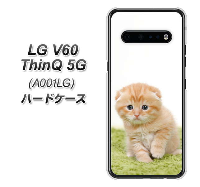 SoftBank LG V60 ThinQ 5G A001LG 高画質仕上げ 背面印刷 ハードケース【VA802 ネコこっそり】