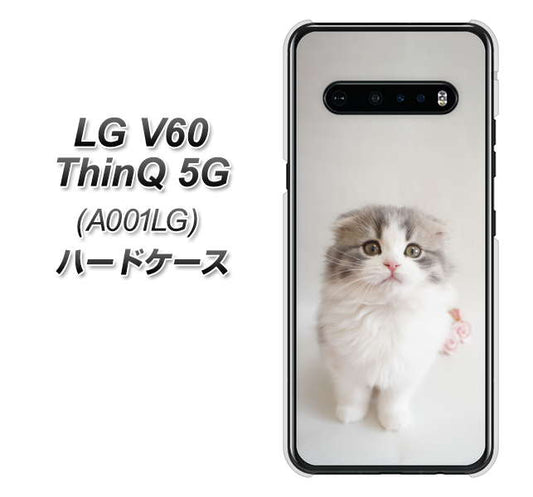 SoftBank LG V60 ThinQ 5G A001LG 高画質仕上げ 背面印刷 ハードケース【VA803 まっていますネコ】