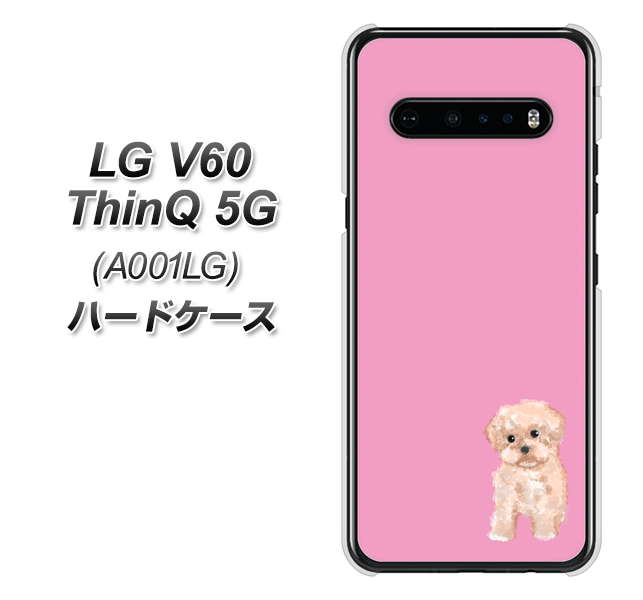 SoftBank LG V60 ThinQ 5G A001LG 高画質仕上げ 背面印刷 ハードケース【YJ061 トイプードルアプリコット（ピンク）】