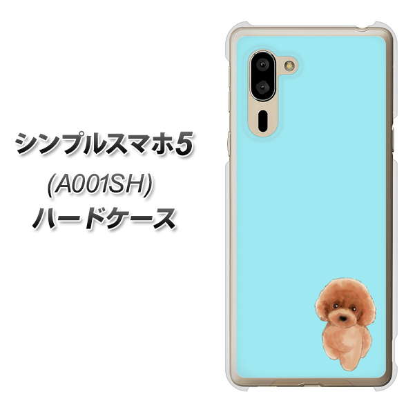 SoftBank シンプルスマホ5 A001SH 高画質仕上げ 背面印刷 ハードケース【YJ050 トイプードルレッド（ブルー）】