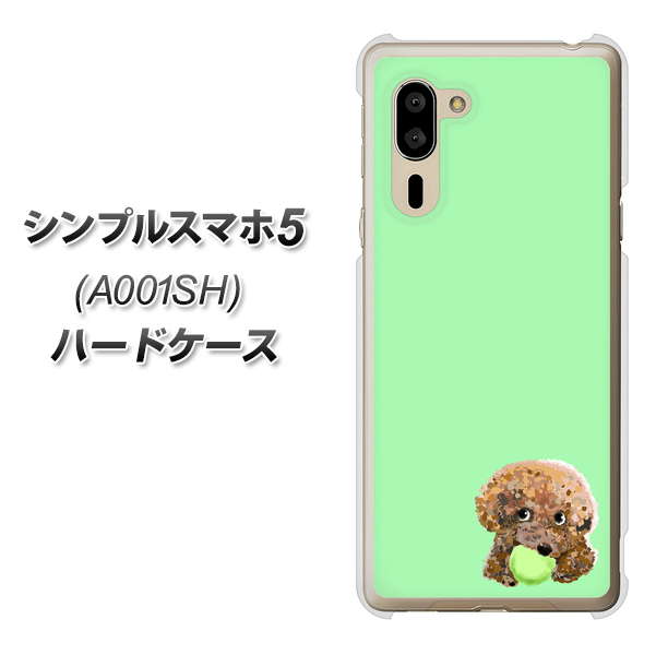 SoftBank シンプルスマホ5 A001SH 高画質仕上げ 背面印刷 ハードケース【YJ055 トイプードル＆ボール（グリーン）】