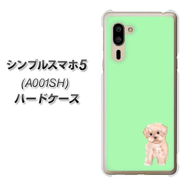 SoftBank シンプルスマホ5 A001SH 高画質仕上げ 背面印刷 ハードケース【YJ063 トイプードルアプリコット（グリーン）】