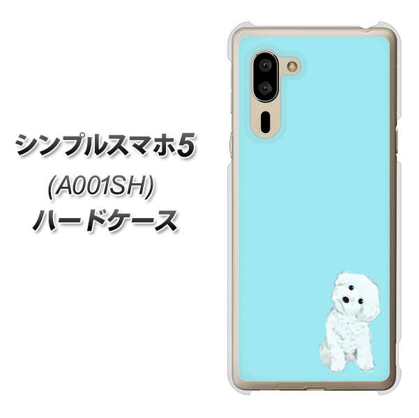 SoftBank シンプルスマホ5 A001SH 高画質仕上げ 背面印刷 ハードケース【YJ070 トイプードルホワイト（ブルー）】